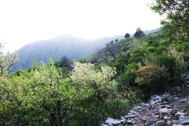 dağlar yeşil çimen 