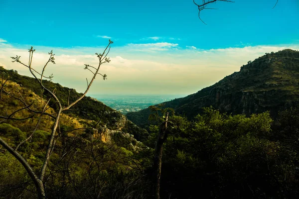 Montañas hierba verde — Foto de Stock