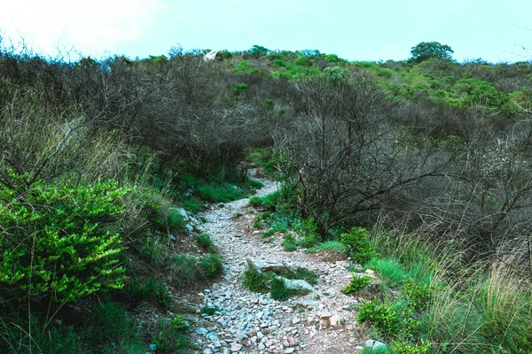 Strada in salita — Foto Stock