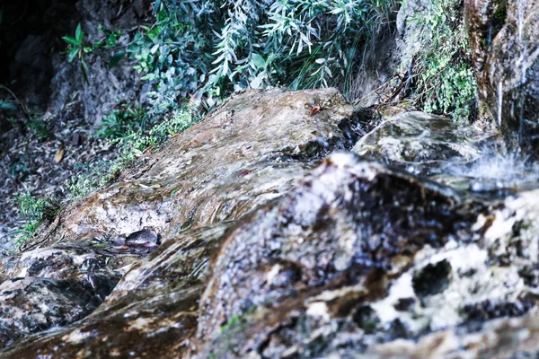 丛林中的山瀑布 — 图库照片