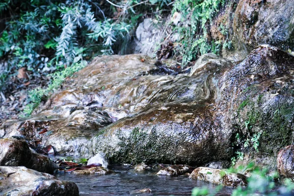 Cascada de montaña en la selva — Foto de Stock