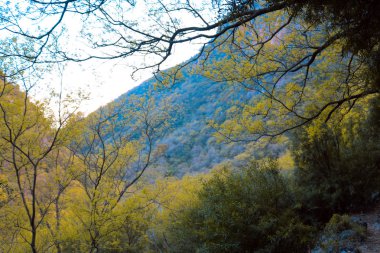 dağlar yeşil çimen  