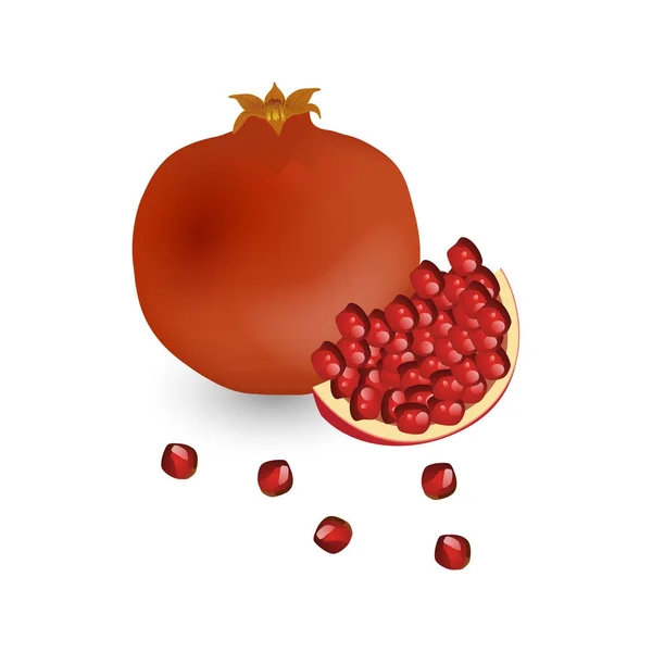 Κόκκινο ώριμο Ρόδι φρούτα — Διανυσματικό Αρχείο