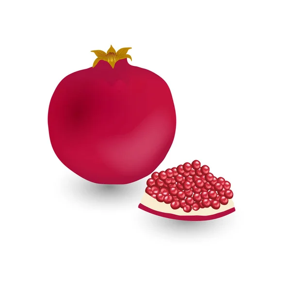 Grenade mûre rouge fruits — Image vectorielle