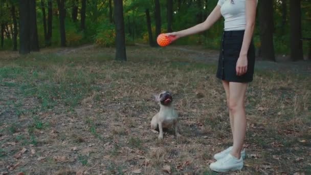 Ung brunett kvinna promenader i höstpark med fransk bulldogg — Stockvideo