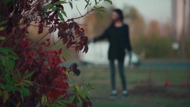 Yound hona plantering plantor i parken i storstaden — Stockvideo