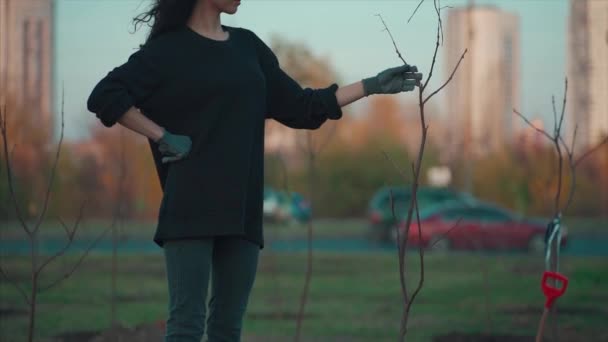 Yound vrouwelijke planten zaailing in het park van de grote stad — Stockvideo