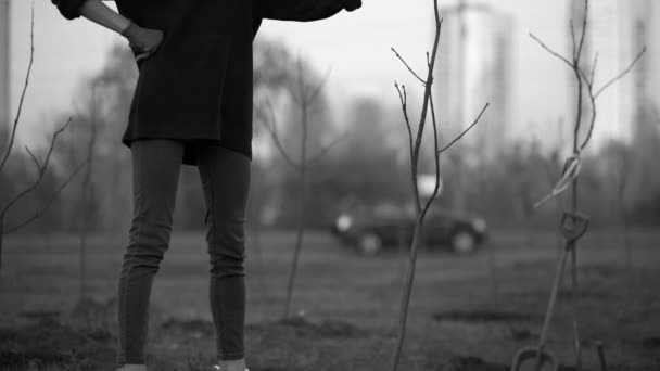 Yound hembra plantando plántulas en el parque de la gran ciudad — Vídeos de Stock