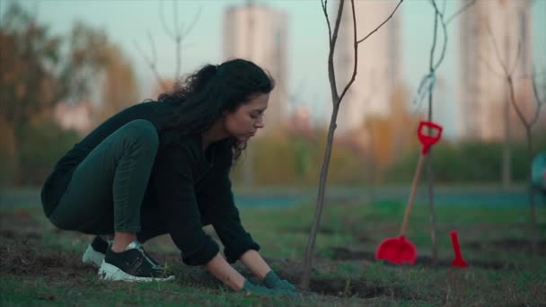 大都市の公園で若い女性が苗を植え — ストック動画