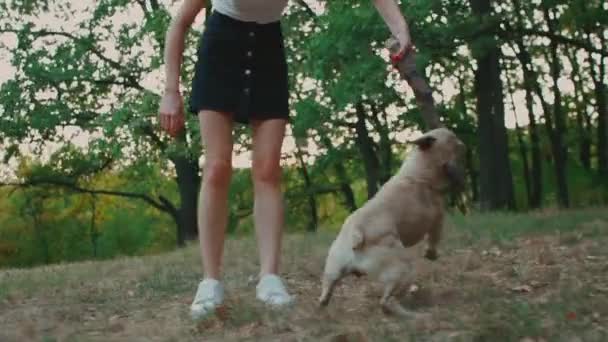 Giovane donna bruna che cammina nel parco autunnale con bulldog francese — Video Stock