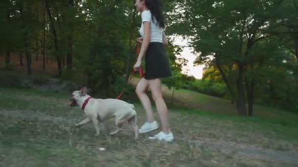 Jong brunette vrouw wandelen in de herfst park met franse bulldog — Stockvideo