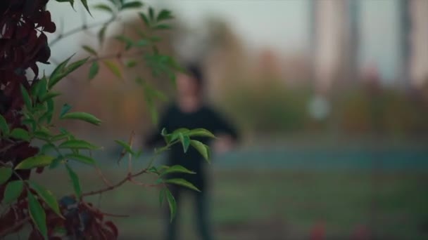 Молода жінка саджає розсаду в парку великого міста — стокове відео