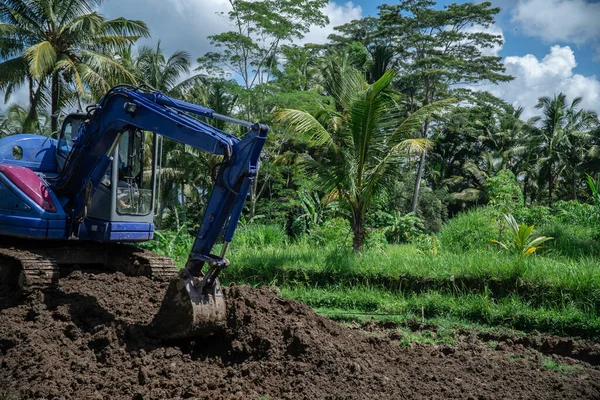 Endüstriyel buldozer tropik yağmur ormanlarında toprak ve toprak kazıyor