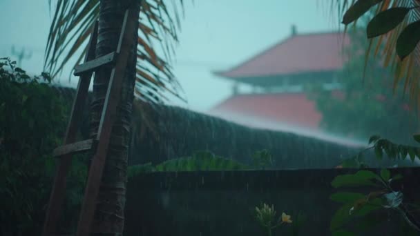 Câmera lenta de chuva asiática tropical com templo no fundo — Vídeo de Stock