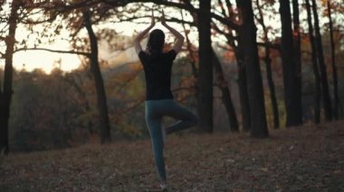 Kadın gün batımında sonbahar parkında yoga ve meditasyon yapıyor.