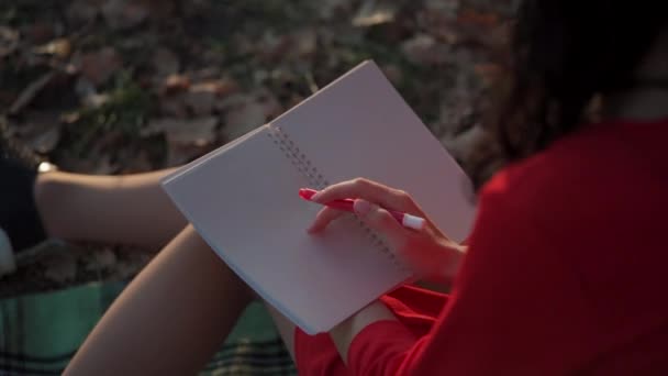 gyönyörű fiatal nő jegyzetel a napló üres oldalán