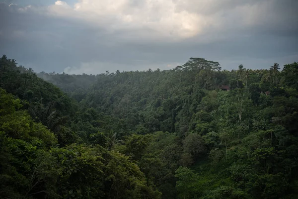 Vacker utsikt över berg, regnskog och blå himmel med moln — Stockfoto