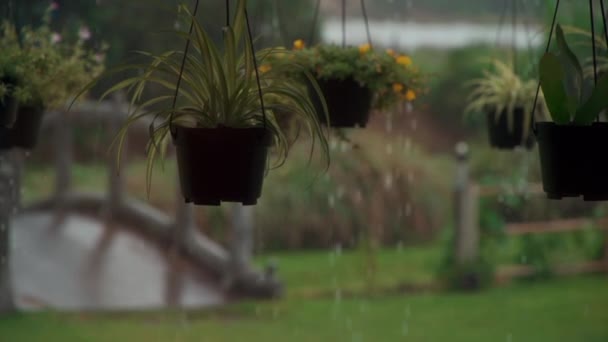 Cámara lenta de fuertes gotas de lluvia tropical en macetas de plantas verdes — Vídeos de Stock