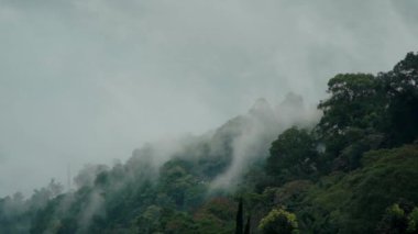 Yağmurdan sonra sisli tropik yağmur ormanları ve dağların manzarası