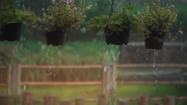 Langzame beweging van zware tropische regendruppels op groene plantenpotten — Stockvideo