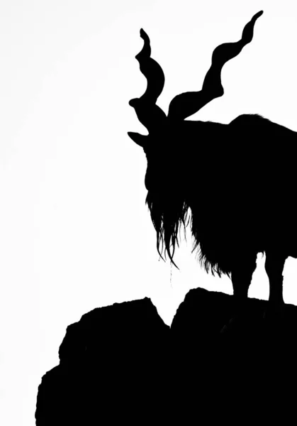 Schwarze Silhouette Einer Gehörnten Ziege Auf Einem Felsen Vor Weißem — Stockfoto