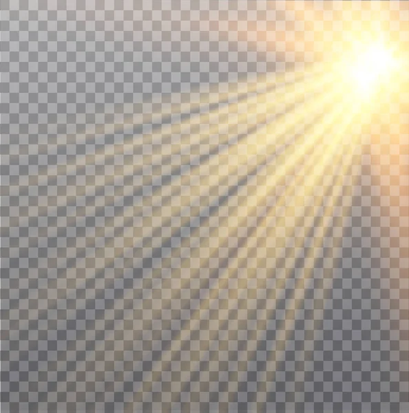 벡터 투명 한 햇빛 특수 렌즈 플레어 빛 효과입니다. 크리스마스 추상 패턴입니다. 스파클링 마술 먼지 입자 — 스톡 벡터