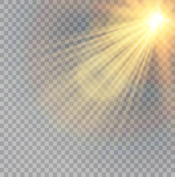 ベクトル透明日光特別なレンズ フレアの光効果。クリスマスの抽象的なパターン。輝く魔法の塵の粒子 — ストックベクタ