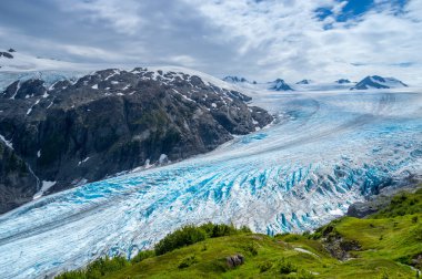 Çıkış buzul, Seward, Alaska