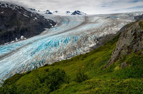 Çıkış buzul, Seward, Alaska