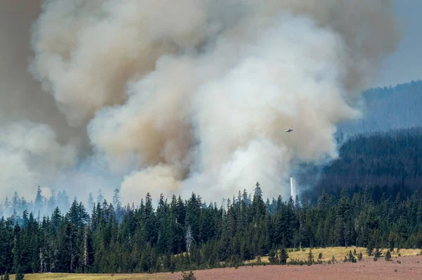 Helicopter fighting forest fire in Crater lake national park