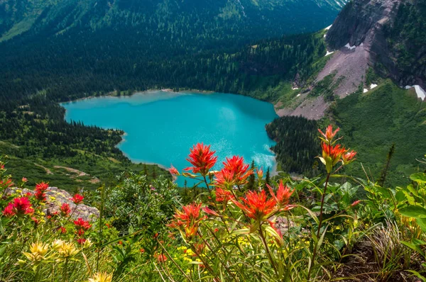 Grinnel meer in het Glacier National park (Montana) — Stockfoto