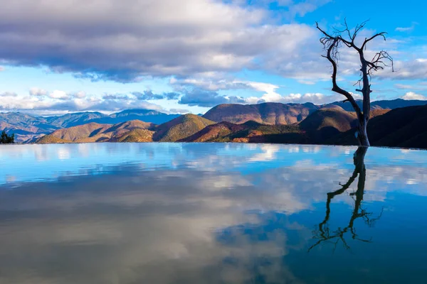 Μοναχικό δέντρο στο Hierve el Agua, Oaxaca, Μεξικό — Φωτογραφία Αρχείου