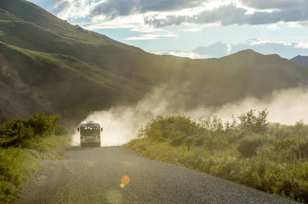 Hierve el Agua 'daki yalnız ağaç, Oaxaca, Meksika