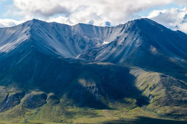 Самотнє дерево в Ієрве ель - Агуа, Оахака, Мексика. — стокове фото