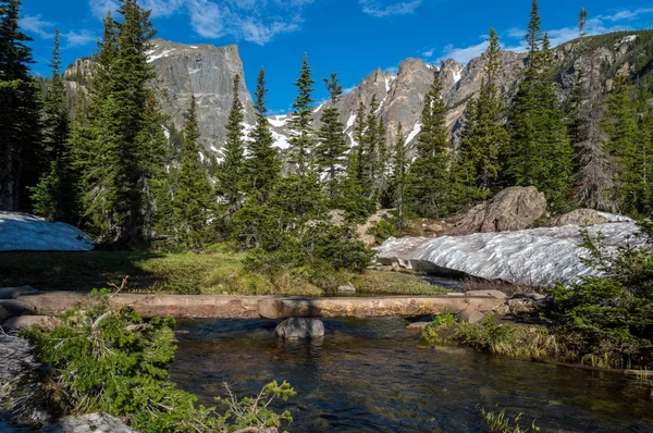 Ahşap köprü üzerinde bir dere içinde bir Rocky Dağları Milli Parkı, Colorado, ABD