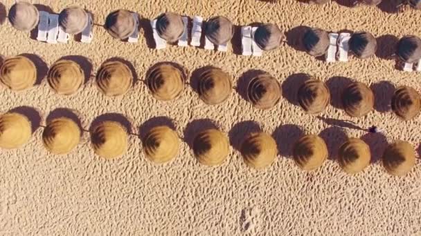 Parasols sur la plage depuis la vue aérienne supérieure — Video