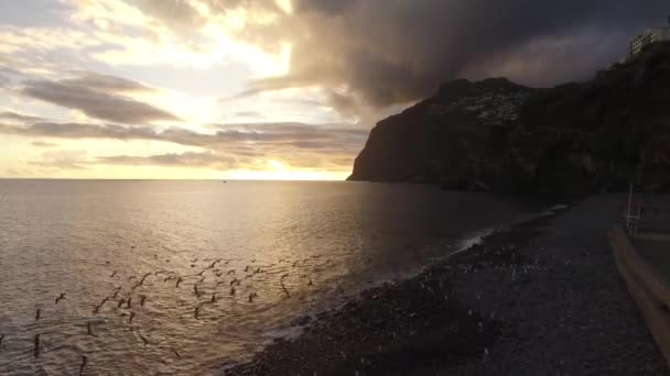 Pláži Camara De Lobos, Madeira při západu slunce — Stock video