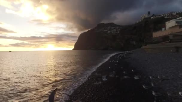 Пляж з Камара де-Лобос, Мадейра на заході сонця — стокове відео