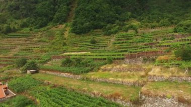 Madeira, Portekiz Hava görünümdeki teraslı alanları