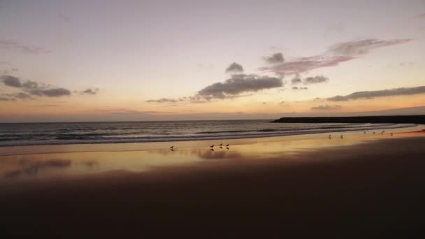 Beautiful sunset over the ocean aerial view — Stock Video