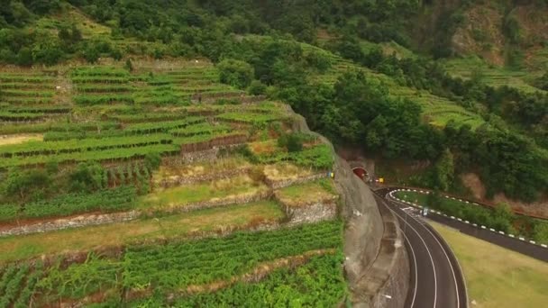 Terrasvormige velden in Madeira, Portugal-luchtfoto — Stockvideo