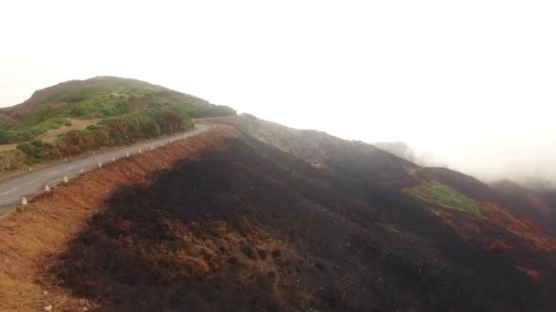 Verbrannter Wald nach Brand auf Madeira, portugiesische Luftaufnahme — Stockvideo