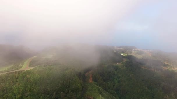 Volando en las nubes sobre las montañas y el bosque de Madeira, Portugal vista aérea — Vídeo de stock