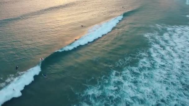 Surfistas en las olas por la noche al atardecer vista aérea — Vídeos de Stock