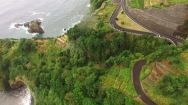 Tarım ve Madeira Adası manzaralar. Okyanusa teraslı ve ekili arazi göster.