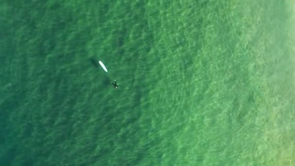 Un surfista solitario relajándose en una tranquila vista aérea del océano matutino — Vídeo de stock