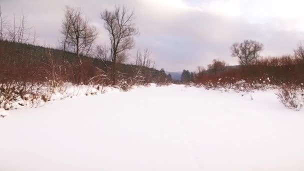 Hiver dans les montagnes de l'Oural. La Russie. Bachkortostan. vue aérienne 