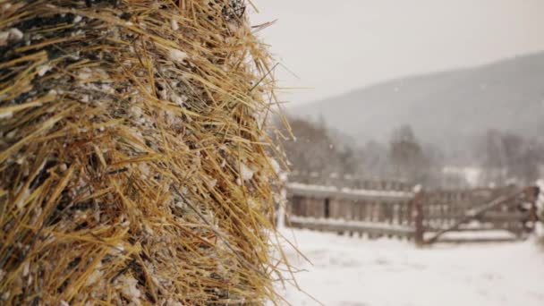 Haystack en invierno en la granja bajo la nieve — Vídeo de stock