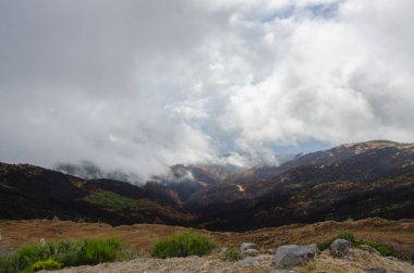 Panoramik yanan orman hills. Ekim 2016 Madeira