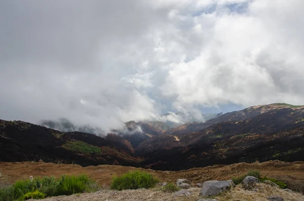 Panoramautsikt över kullarna med den brända skogen. Oktober 2016 Madeira — Stockfoto